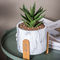 Plantadores del pote del cemento de Mini Succulents Planters Tabletop Pots Clay Flower Pots Marble Flowerpots