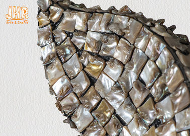 Espejo pomiforme de la pared de la fibra de vidrio con los artículos caseros enmarcados concha marina de la decoración